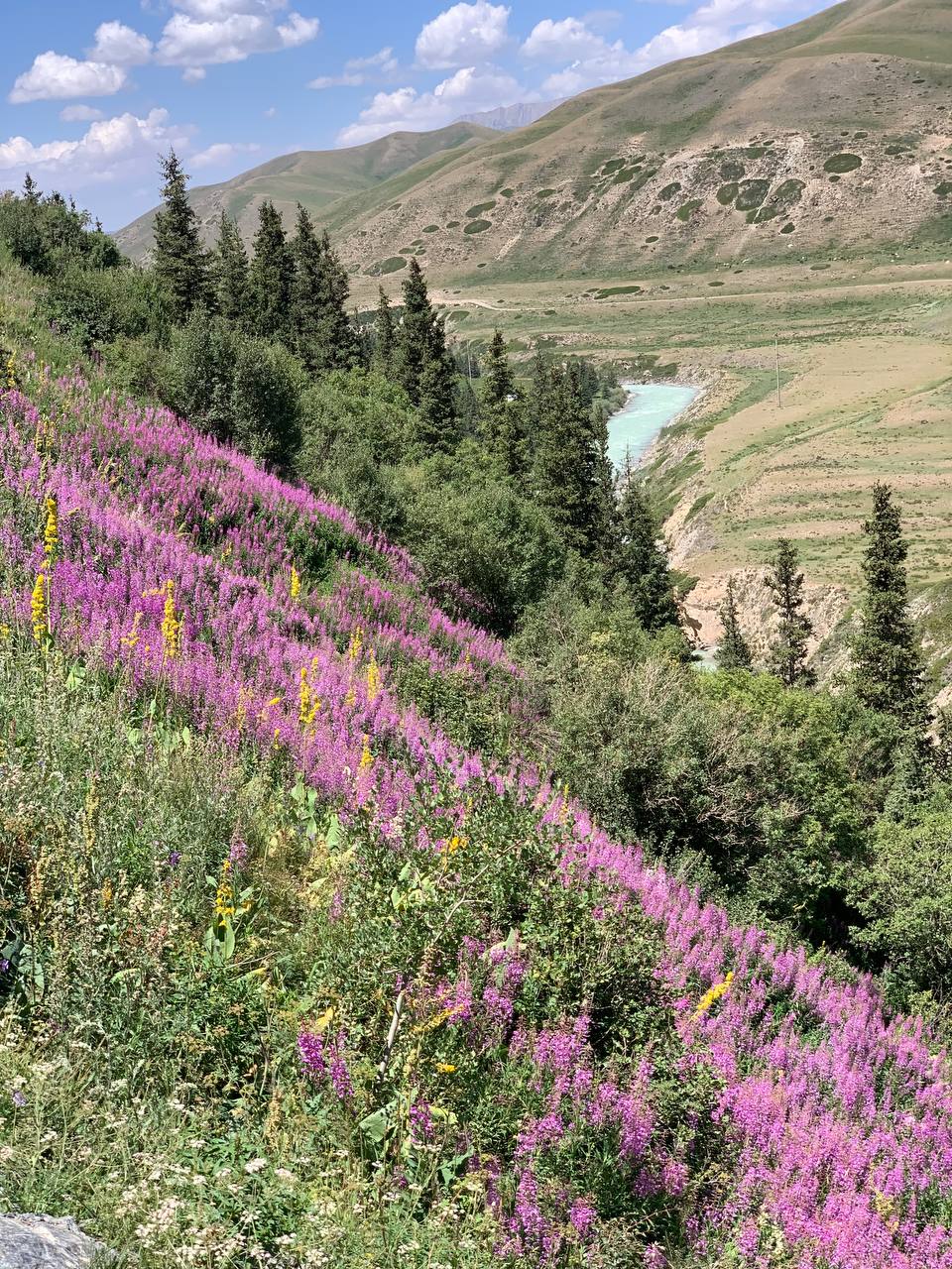 Kyrgyzstan